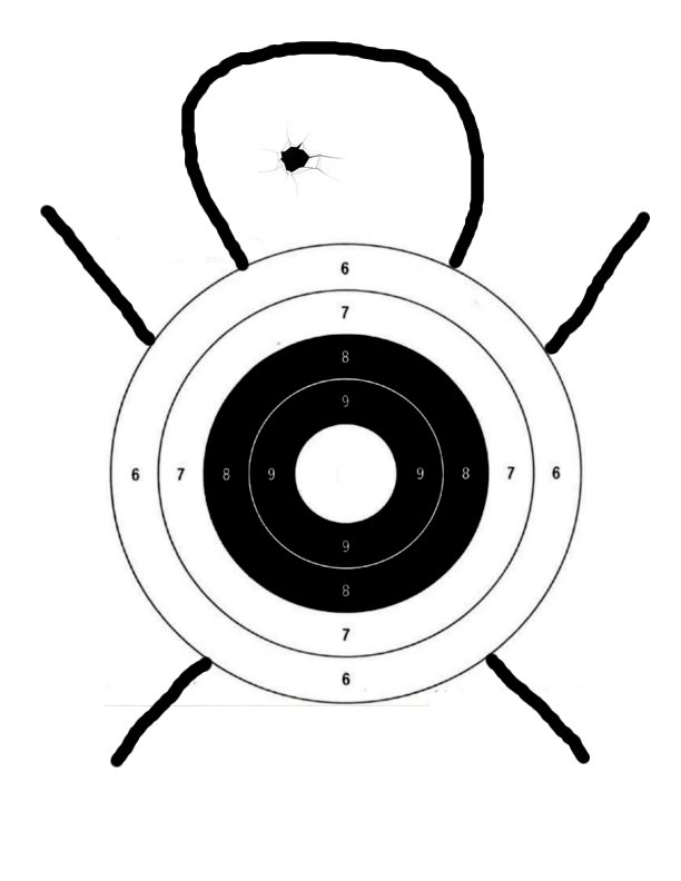 Used Gun Targets