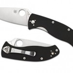 The Spyderco Tenacious